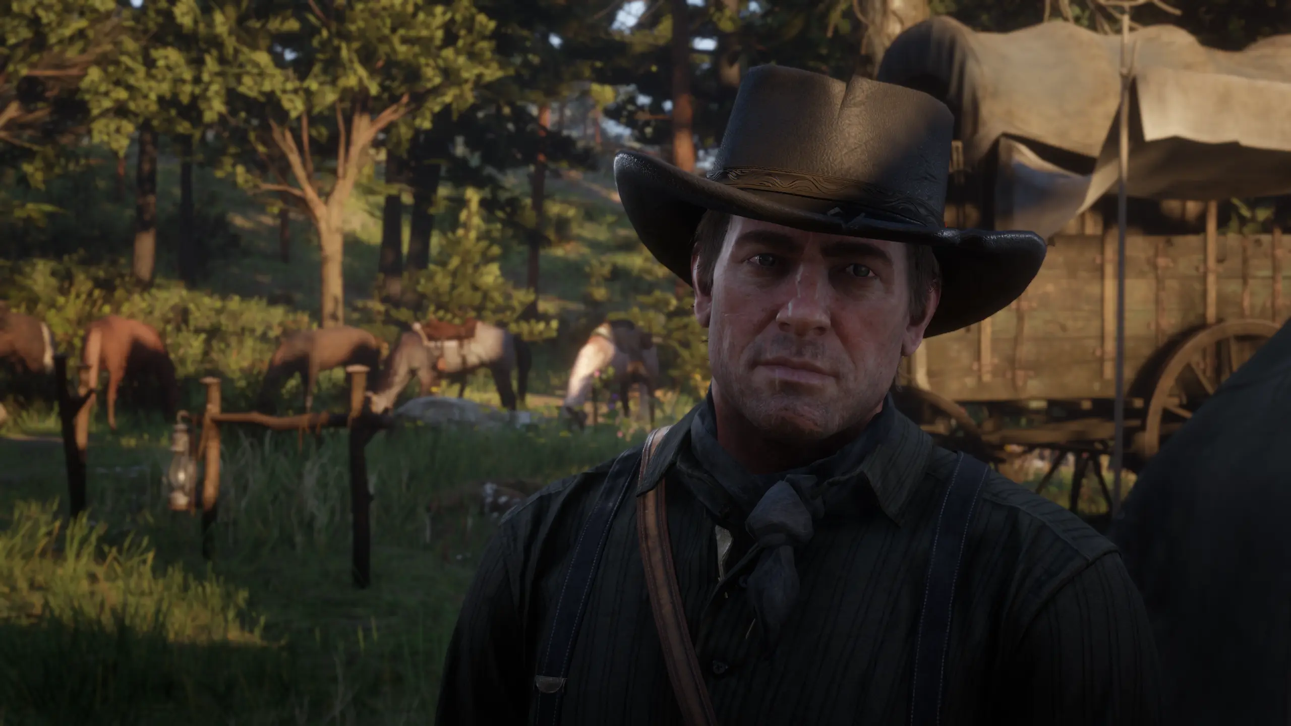 Rougher Arthur at Red Dead Redemption 2 Nexus - Mods and community