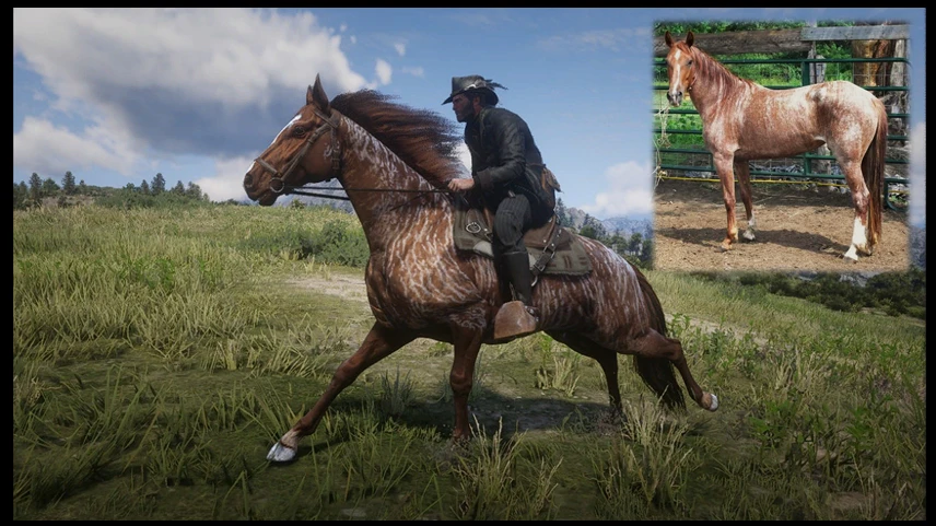 Horses - Reboot at Red Dead Redemption 2 Nexus - Mods and community