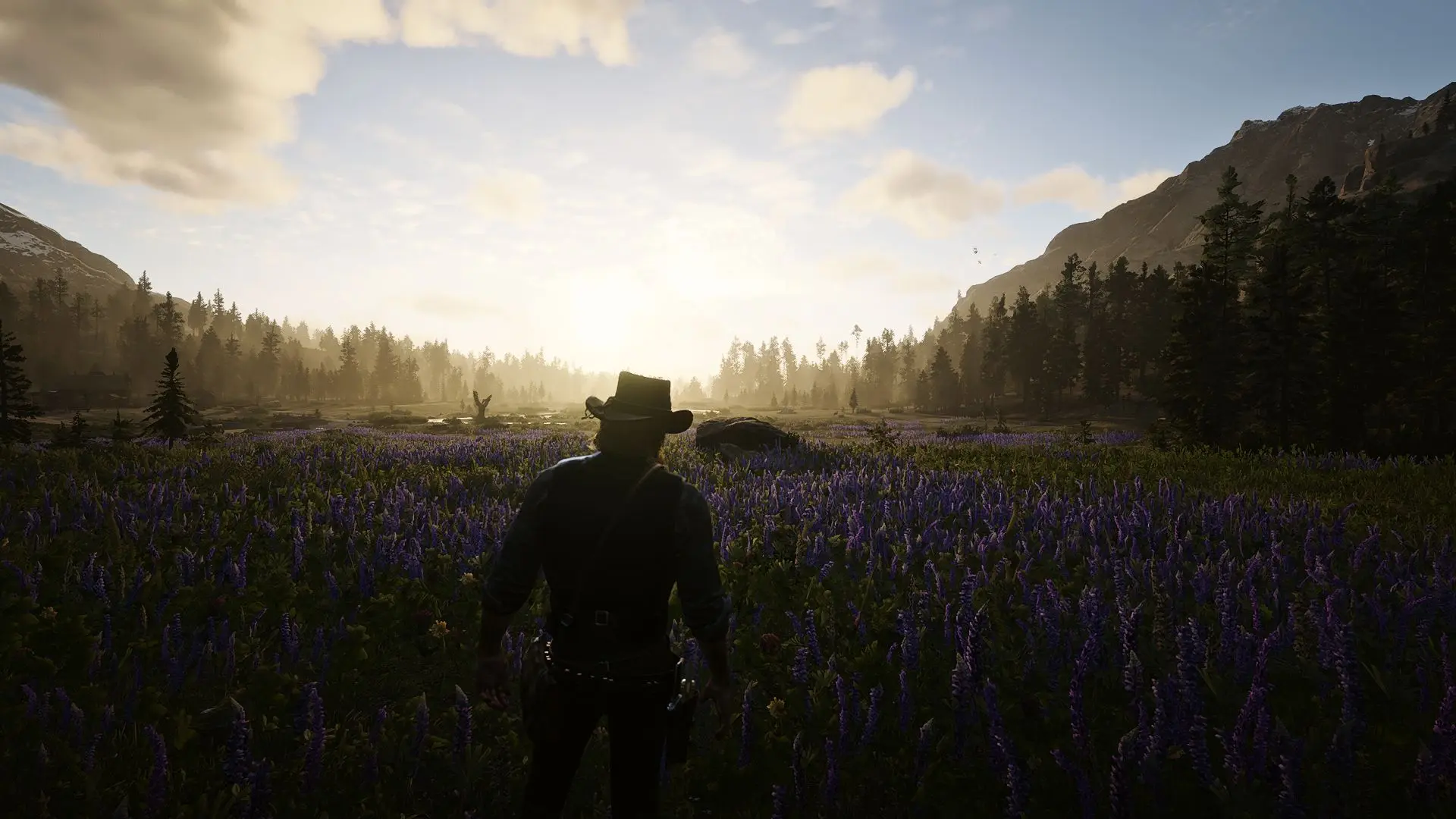 Simple Aesthetics Reshade Preset at Red Dead Redemption 2 Nexus - Mods ...