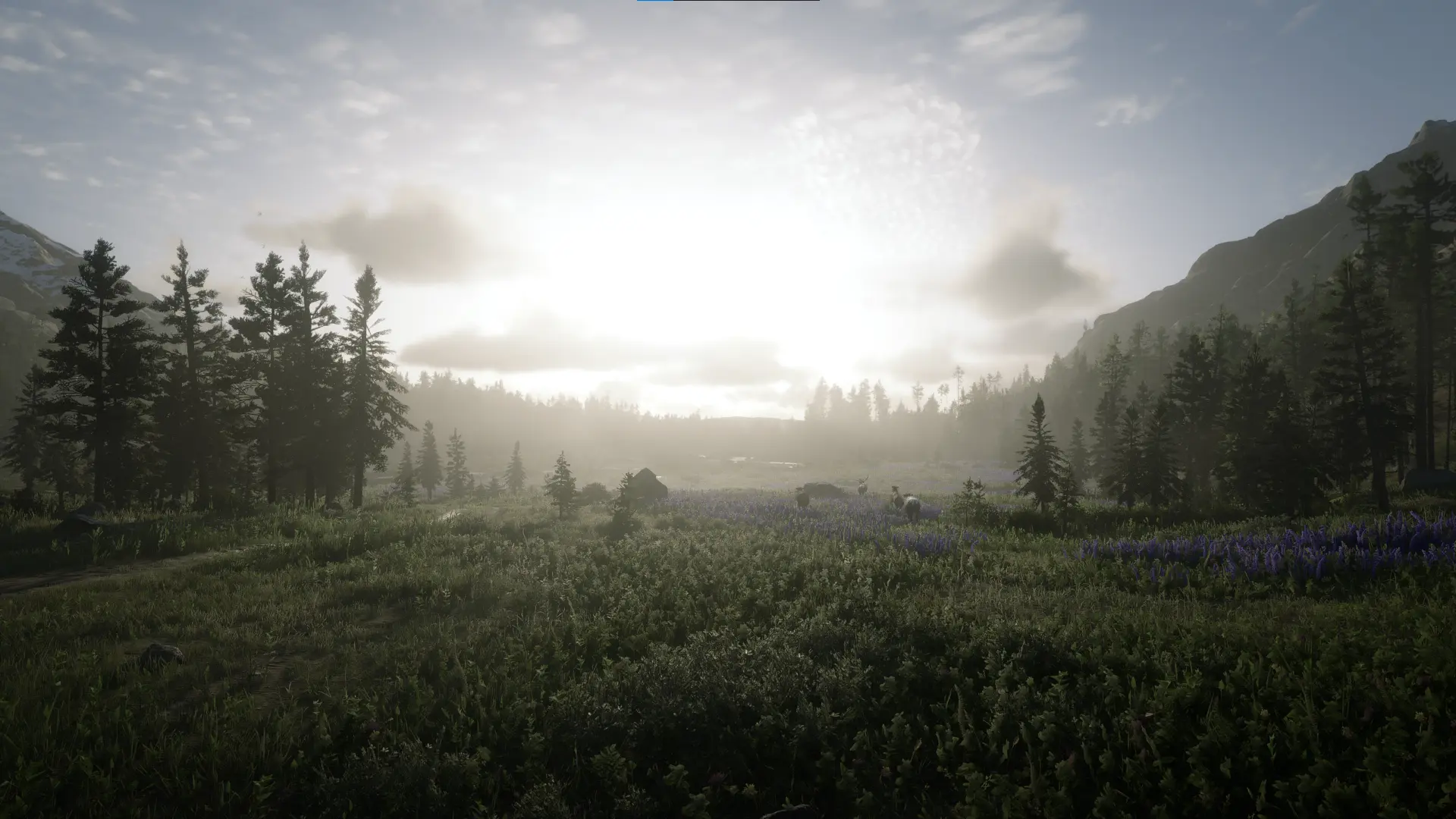 Visuals at Red Dead Redemption 2 Nexus - Mods and community