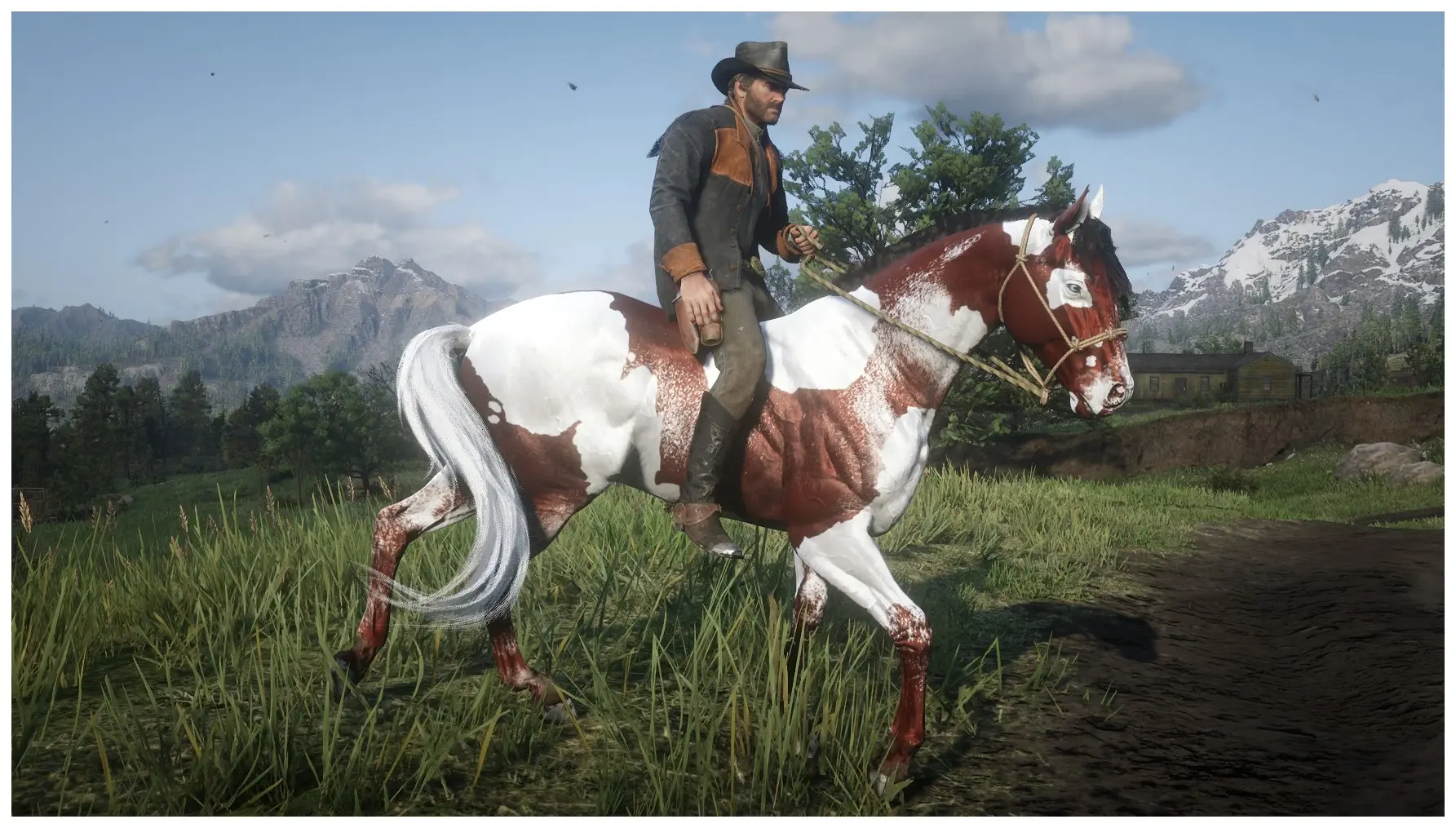 Another Mod For Horse Coats At Red Dead Redemption 2 Nexus - Mods And 