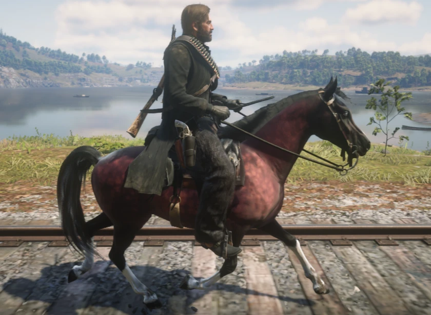 Alternative arabian horse at Red Dead Redemption 2 Nexus - Mods and ...