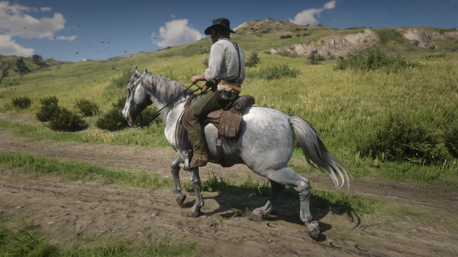 Camargue Horse Breed at Red Dead Redemption 2 Nexus - Mods and community