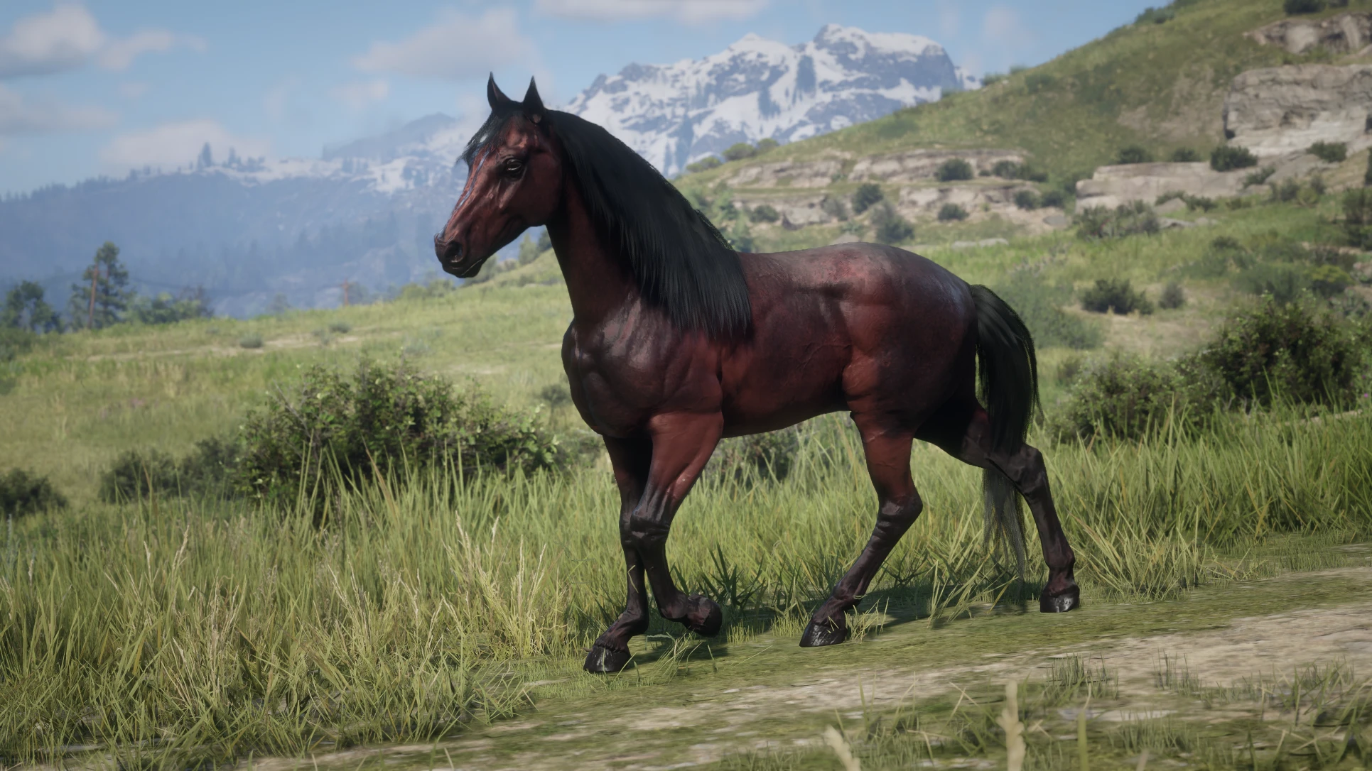 Zyre's Horses at Red Dead Redemption 2 Nexus - Mods and community