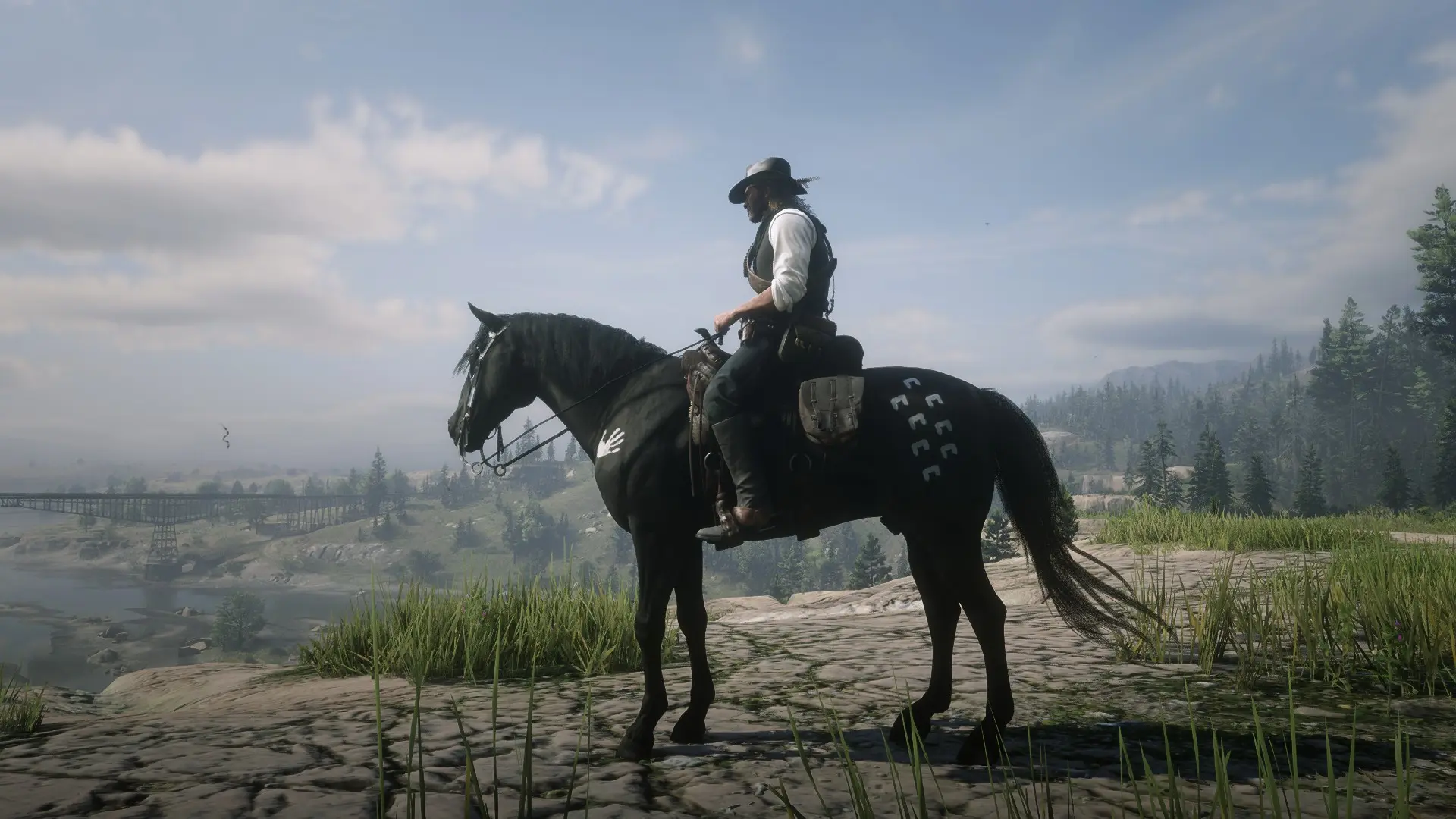 New Miscellaneous Horse Coats at Red Dead Redemption 2 Nexus - Mods and ...