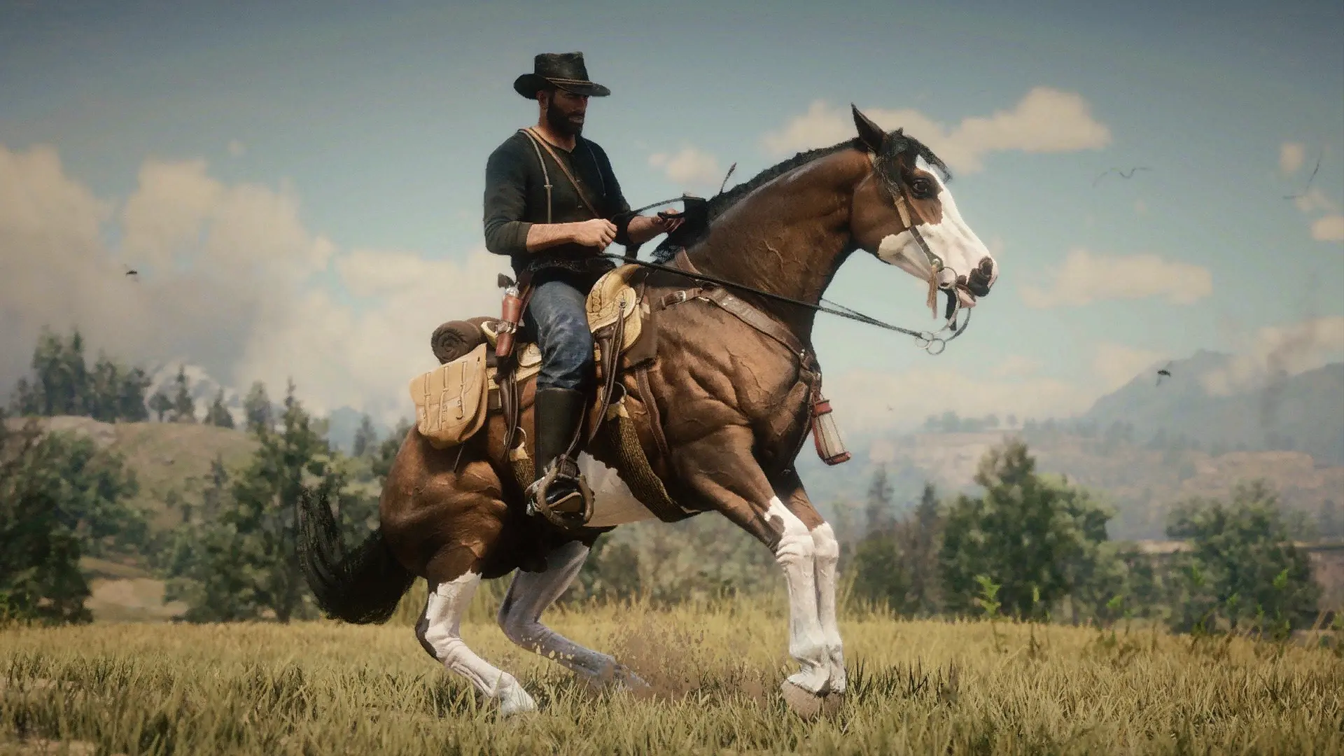 New Miscellaneous Horse Coats at Red Dead Redemption 2 Nexus - Mods and ...