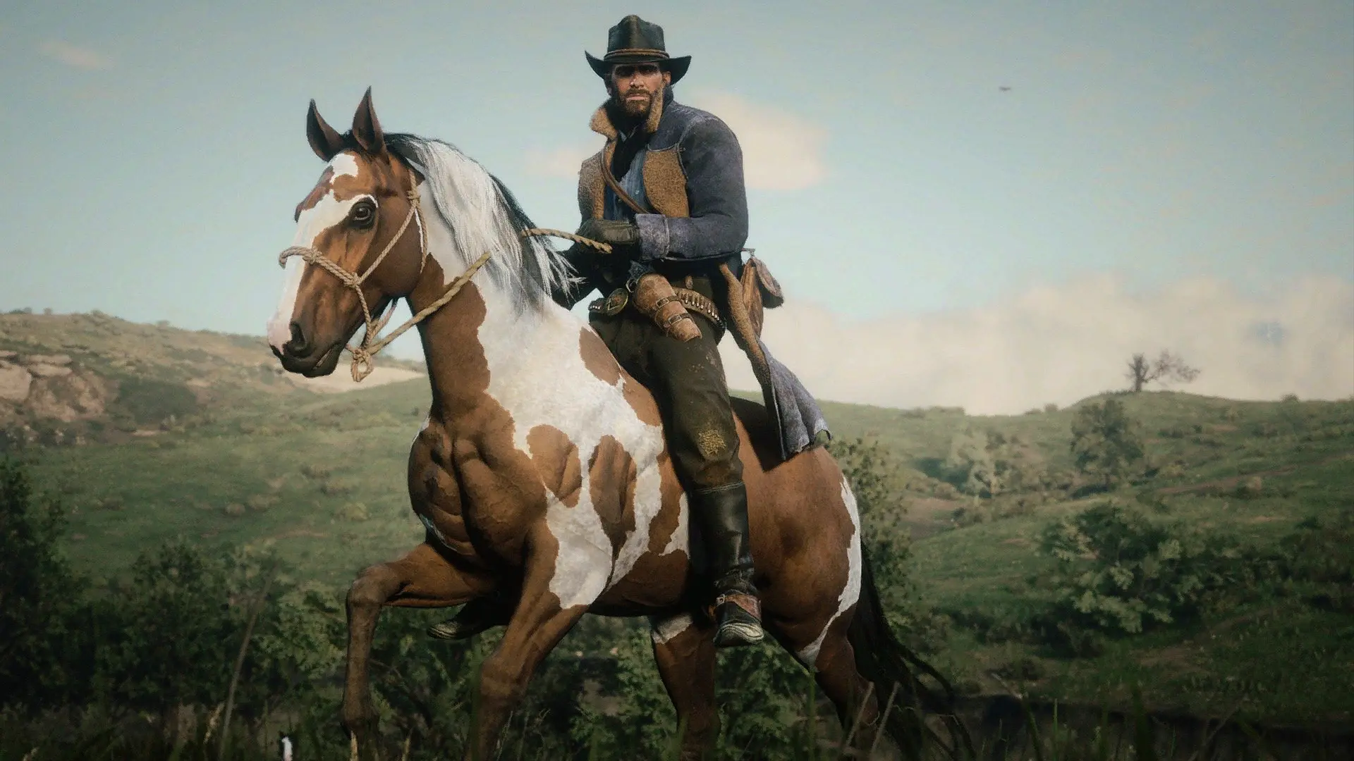 New Miscellaneous Horse Coats at Red Dead Redemption 2 Nexus - Mods and ...