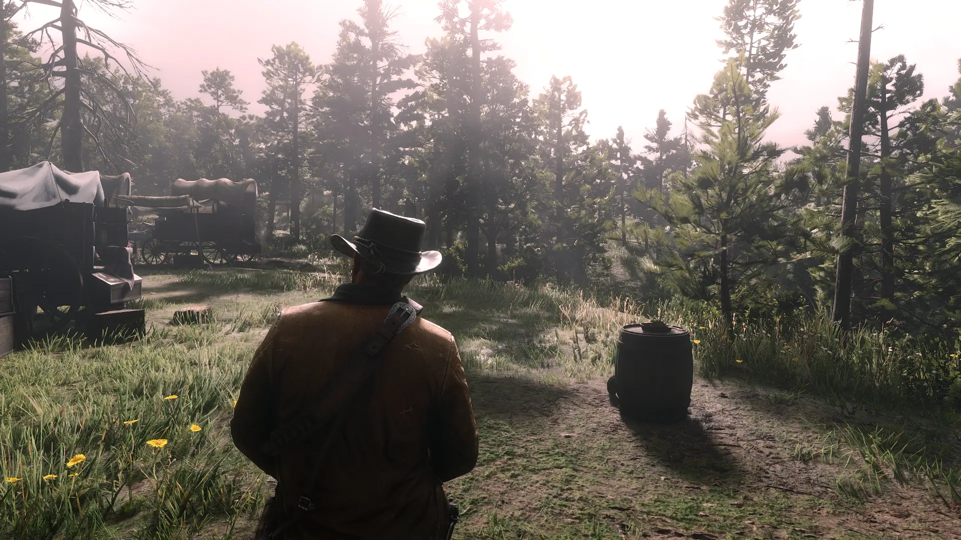 Simple Natural ReShade at Red Dead Redemption 2 Nexus - Mods and community