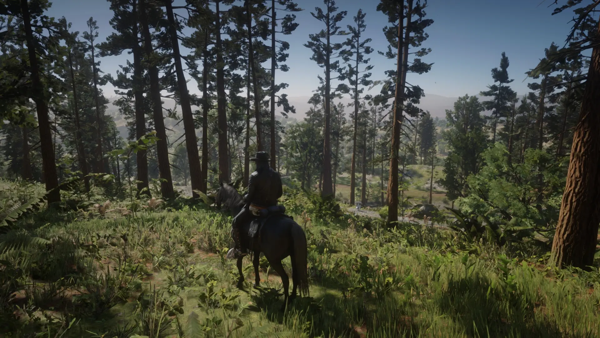 Rdr 2 nexus mods. Rdr 2. Всадник из rdr 2. Rdr 2 лошади. Rdr2 бронетелега.