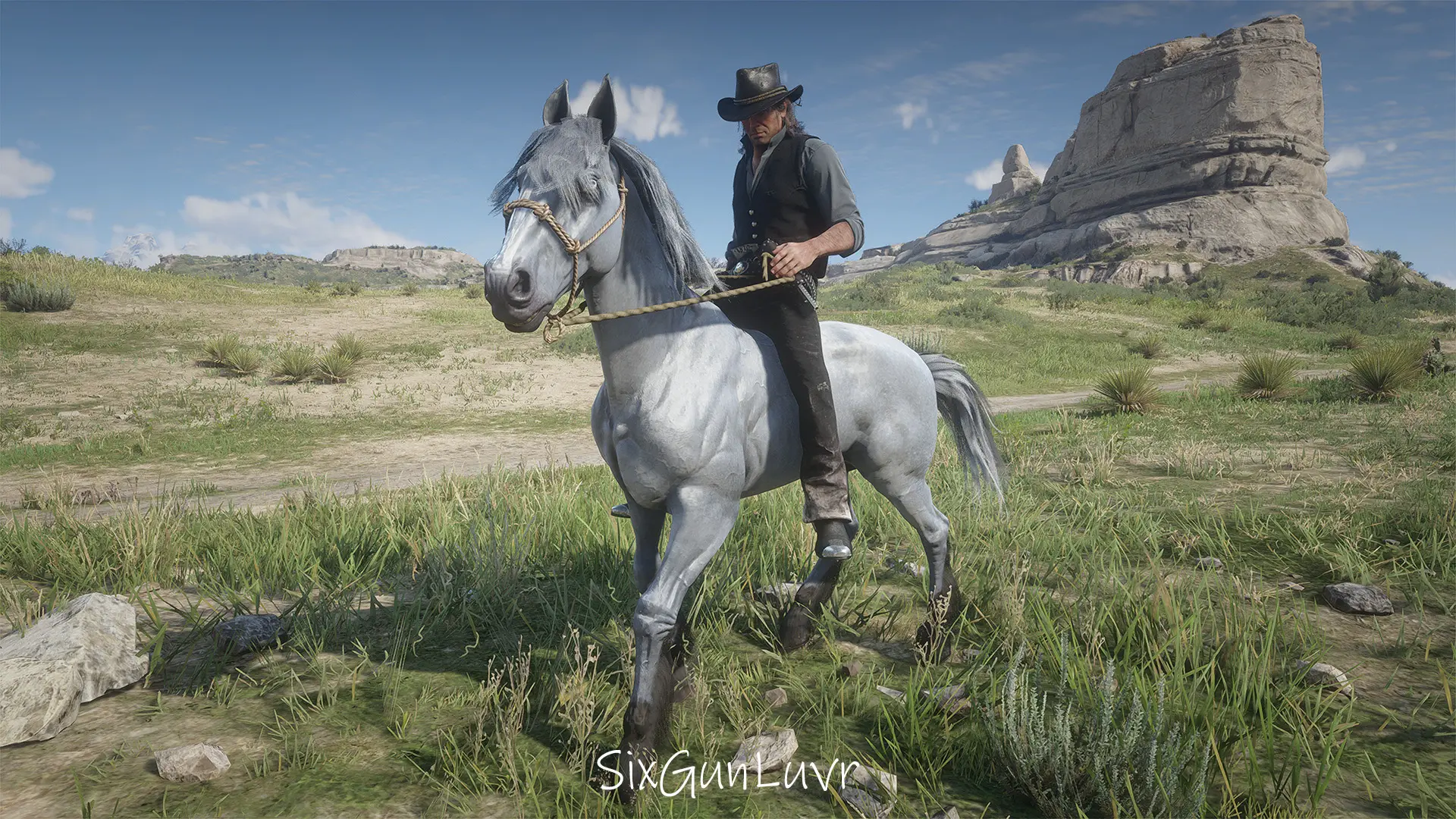 Grullo Dun Mustang Horse Coats at Red Dead Redemption 2 Nexus - Mods ...