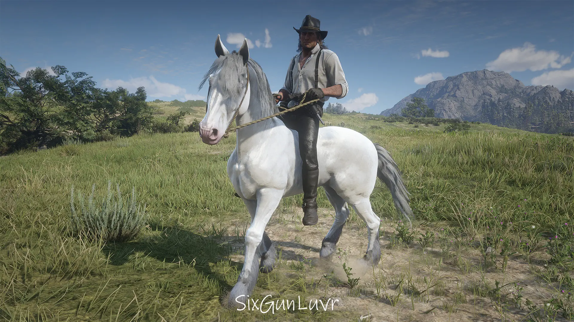 Grullo Dun Mustang Horse Coats at Red Dead Redemption 2 Nexus - Mods ...