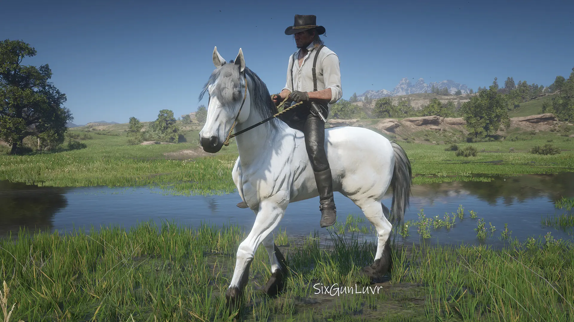 Grullo Dun Mustang Horse Coats at Red Dead Redemption 2 Nexus - Mods ...