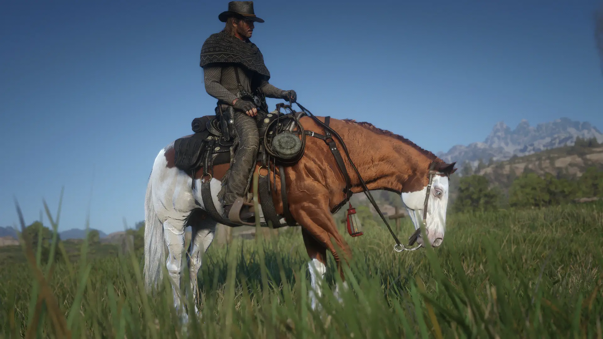 The American Quarter and American Paint at Red Dead Redemption 2 Nexus ...