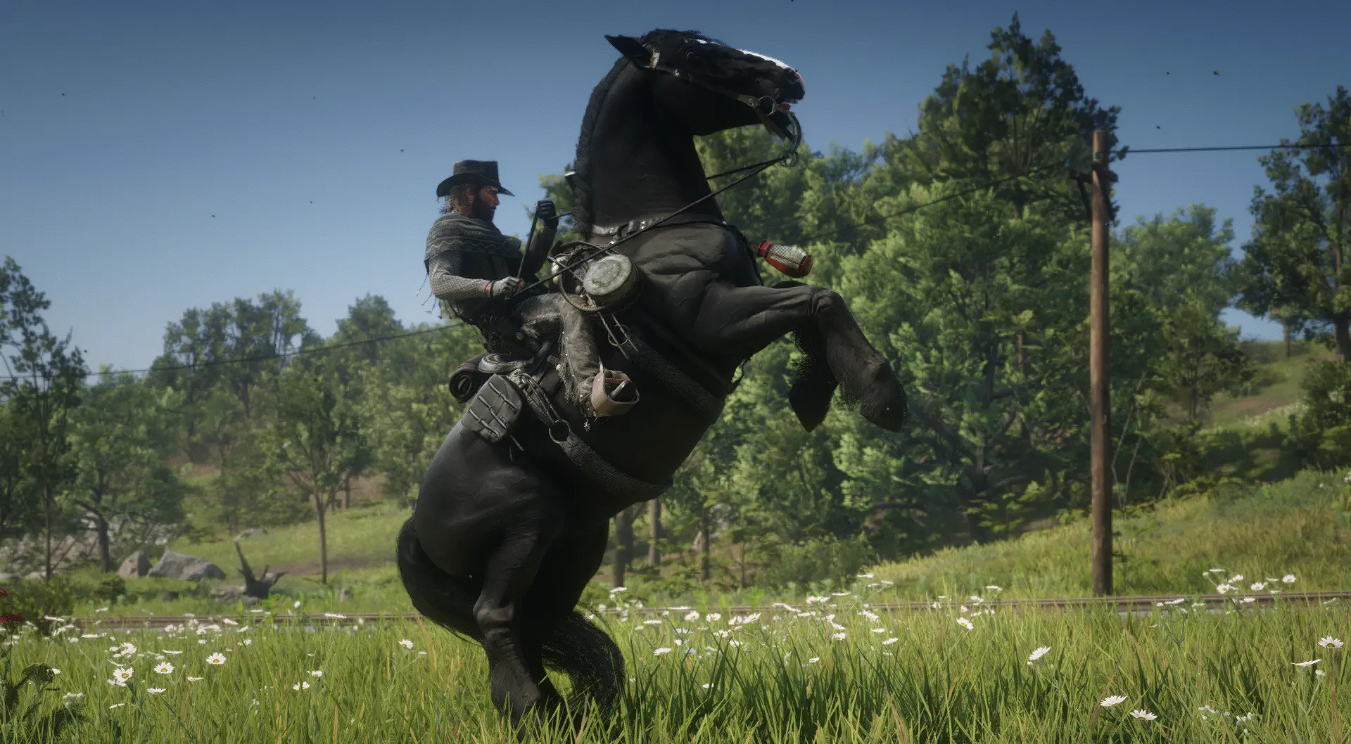 The Updated Shire Horse at Red Dead Redemption 2 Nexus - Mods and community