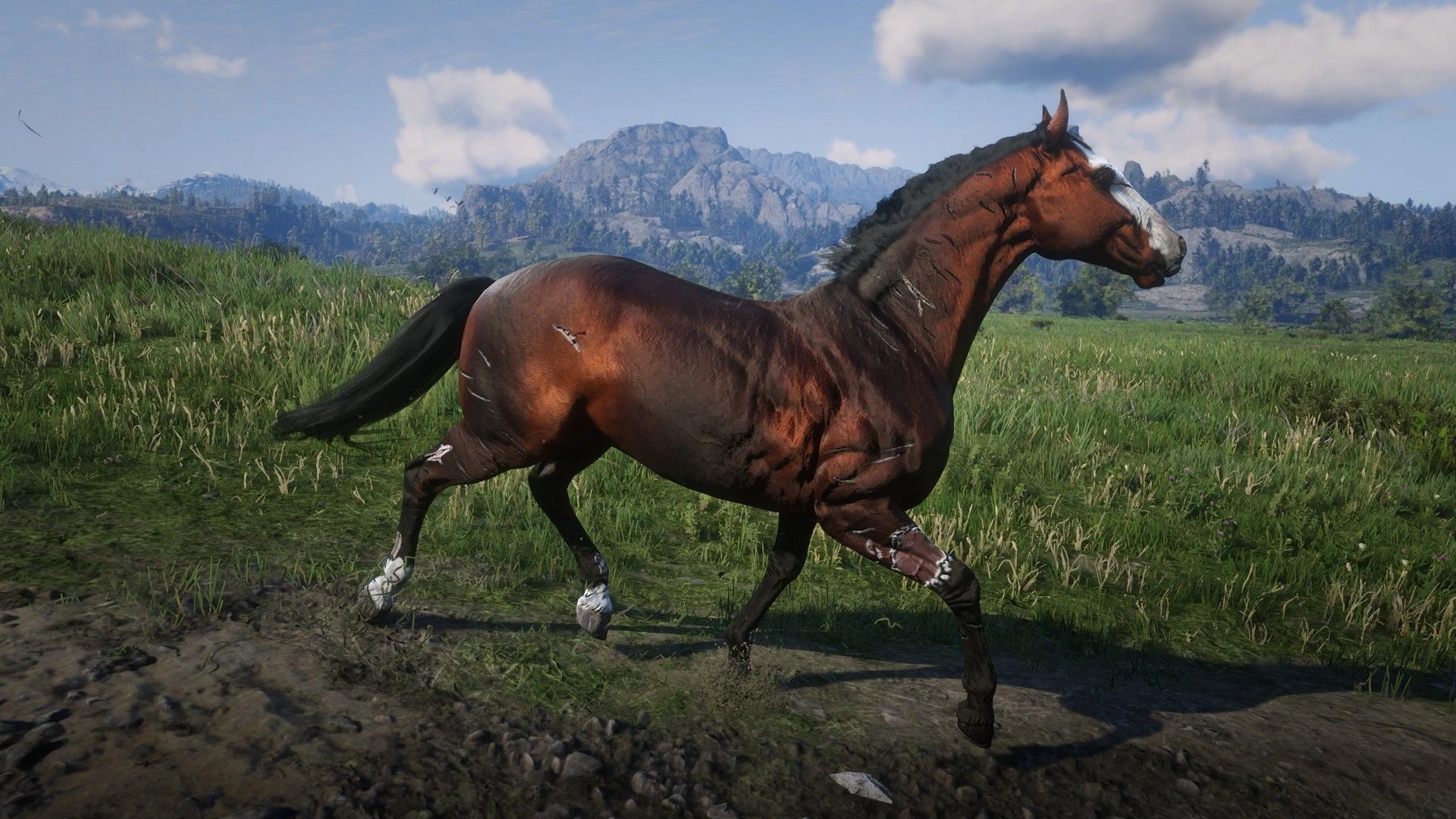 Dark Horse at Red Dead Redemption 2 Nexus - Mods and community