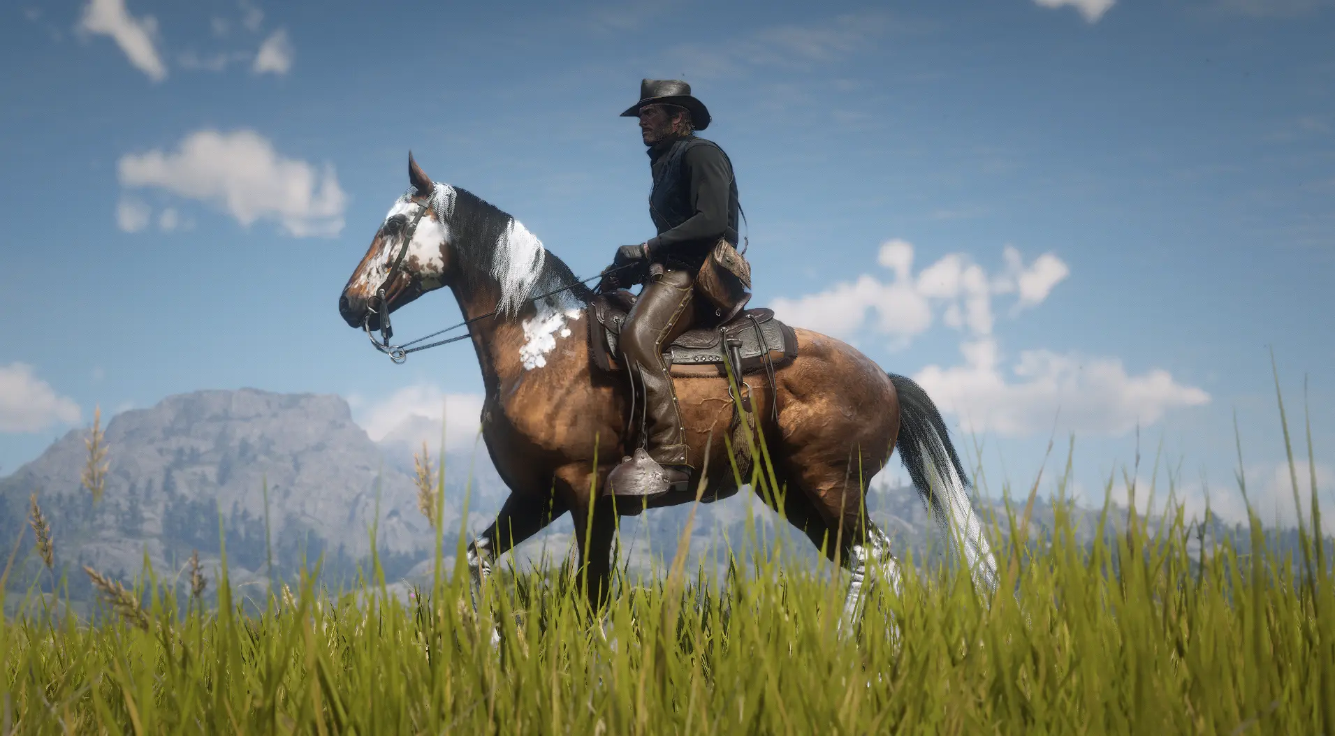 The Updated Tennessee Walking Horse at Red Dead Redemption 2 Nexus ...