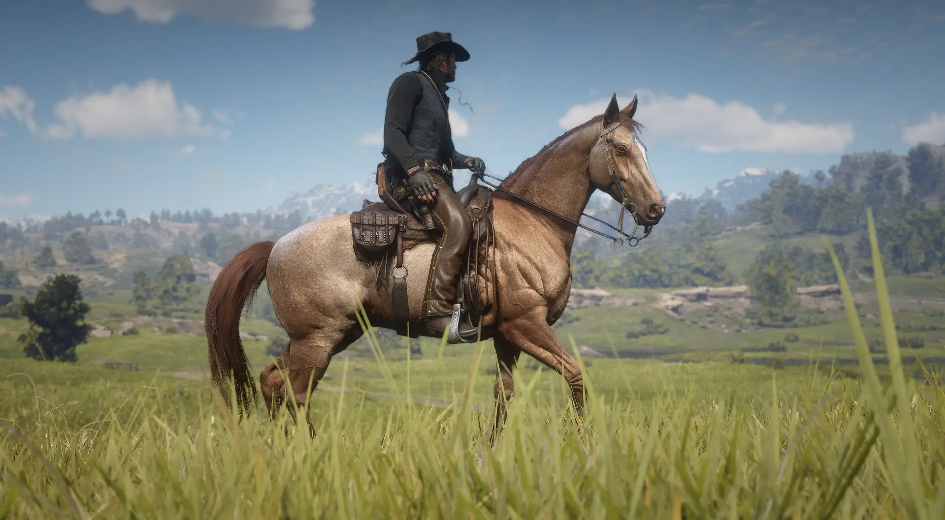 The Updated Tennessee Walking Horse at Red Dead Redemption 2 Nexus ...