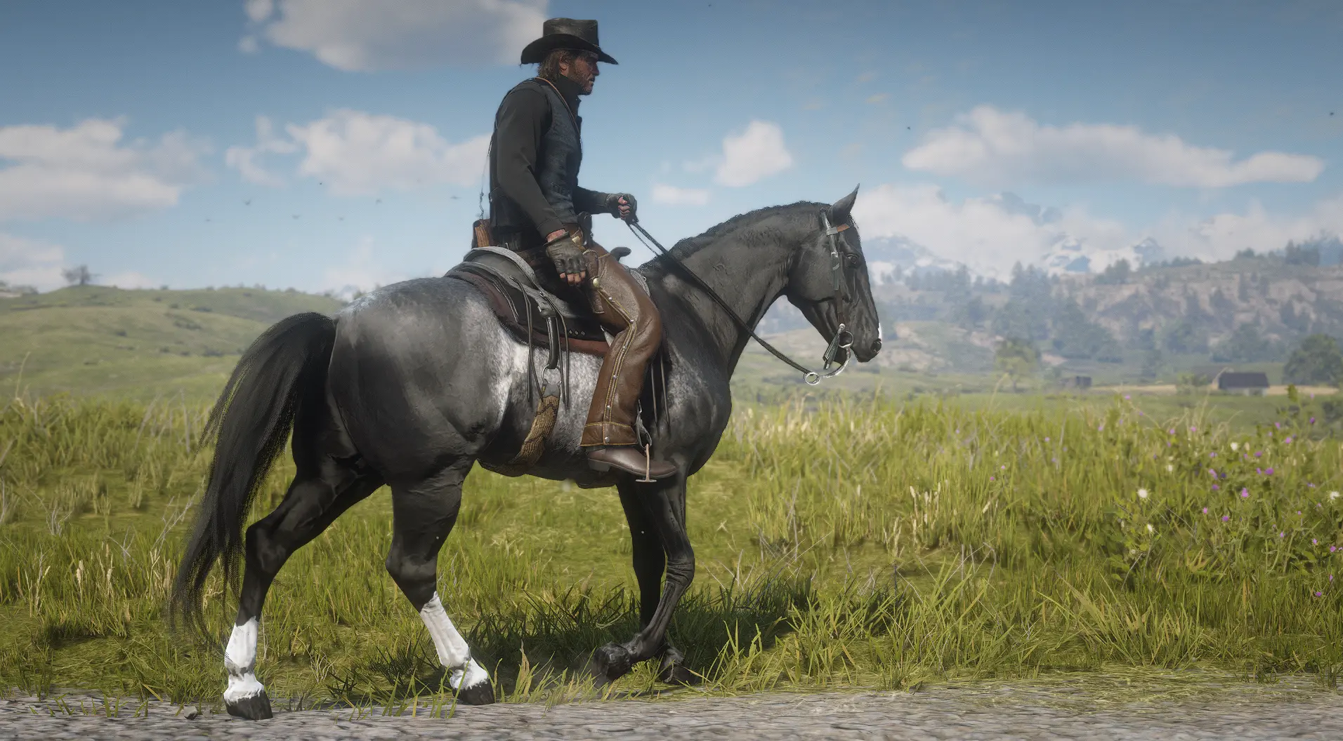 The Updated Tennessee Walking Horse at Red Dead Redemption 2 Nexus ...