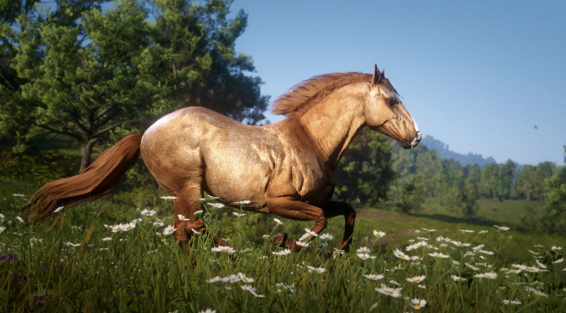 The Updated Andalusian Horse at Red Dead Redemption 2 Nexus - Mods and ...