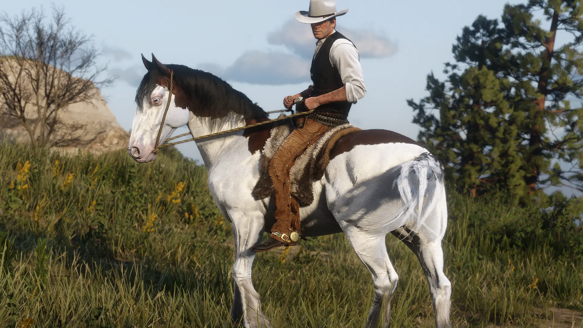 New Mustang Coat Colors at Red Dead Redemption 2 Nexus - Mods and community