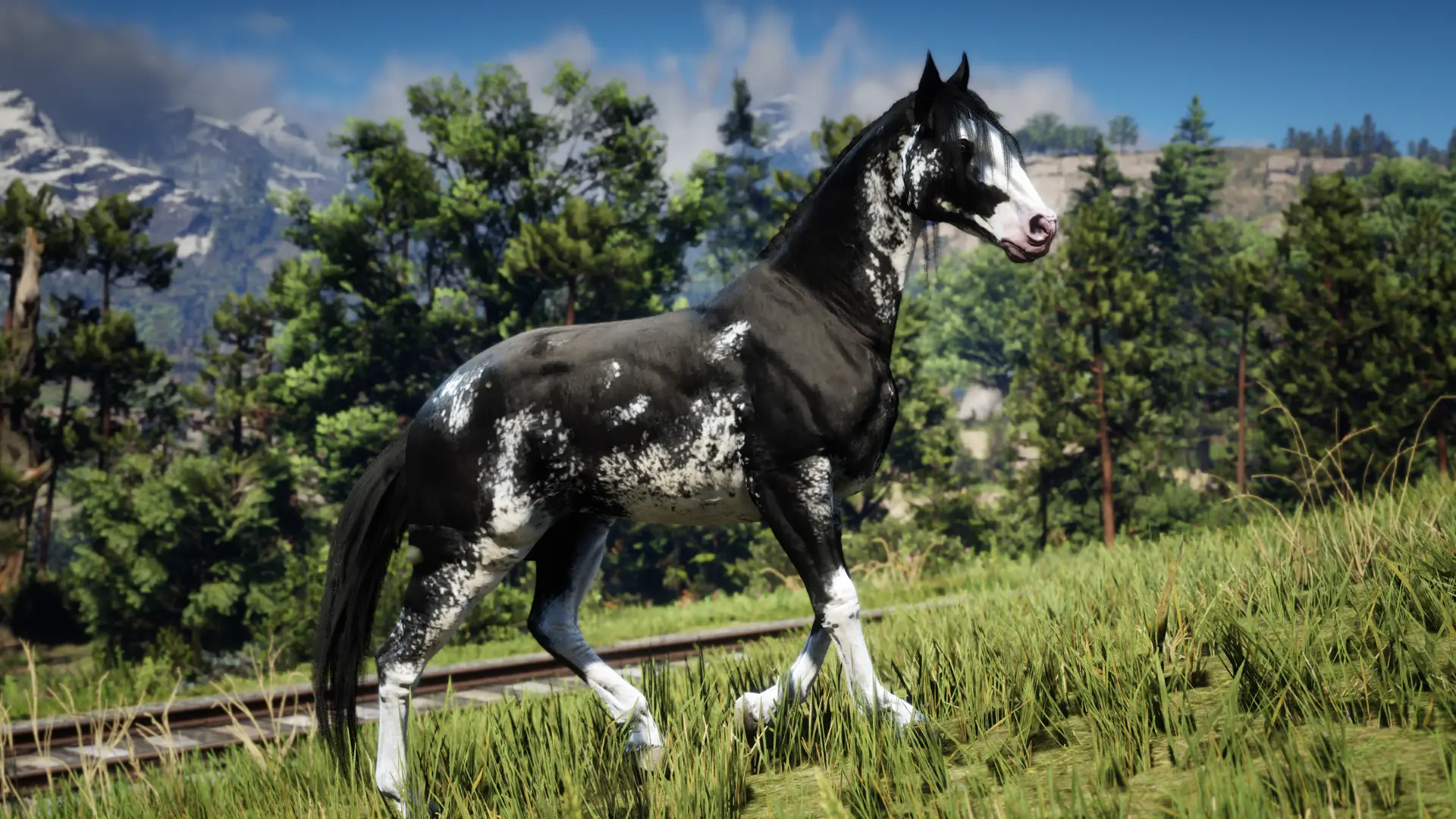 The Updated Nokota Horse At Red Dead Redemption 2 Nexus Mods And   3309 1705003673 1777691459 