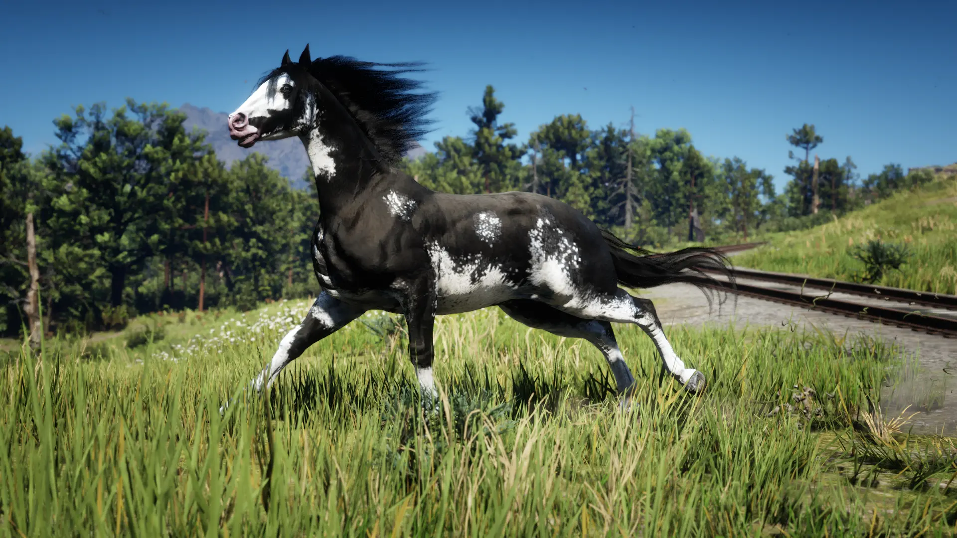 The Updated Nokota Horse At Red Dead Redemption 2 Nexus Mods And   3309 1705003674 49258599 