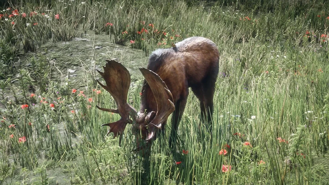 Hunting Realism Project at Red Dead Redemption 2 Nexus - Mods and community