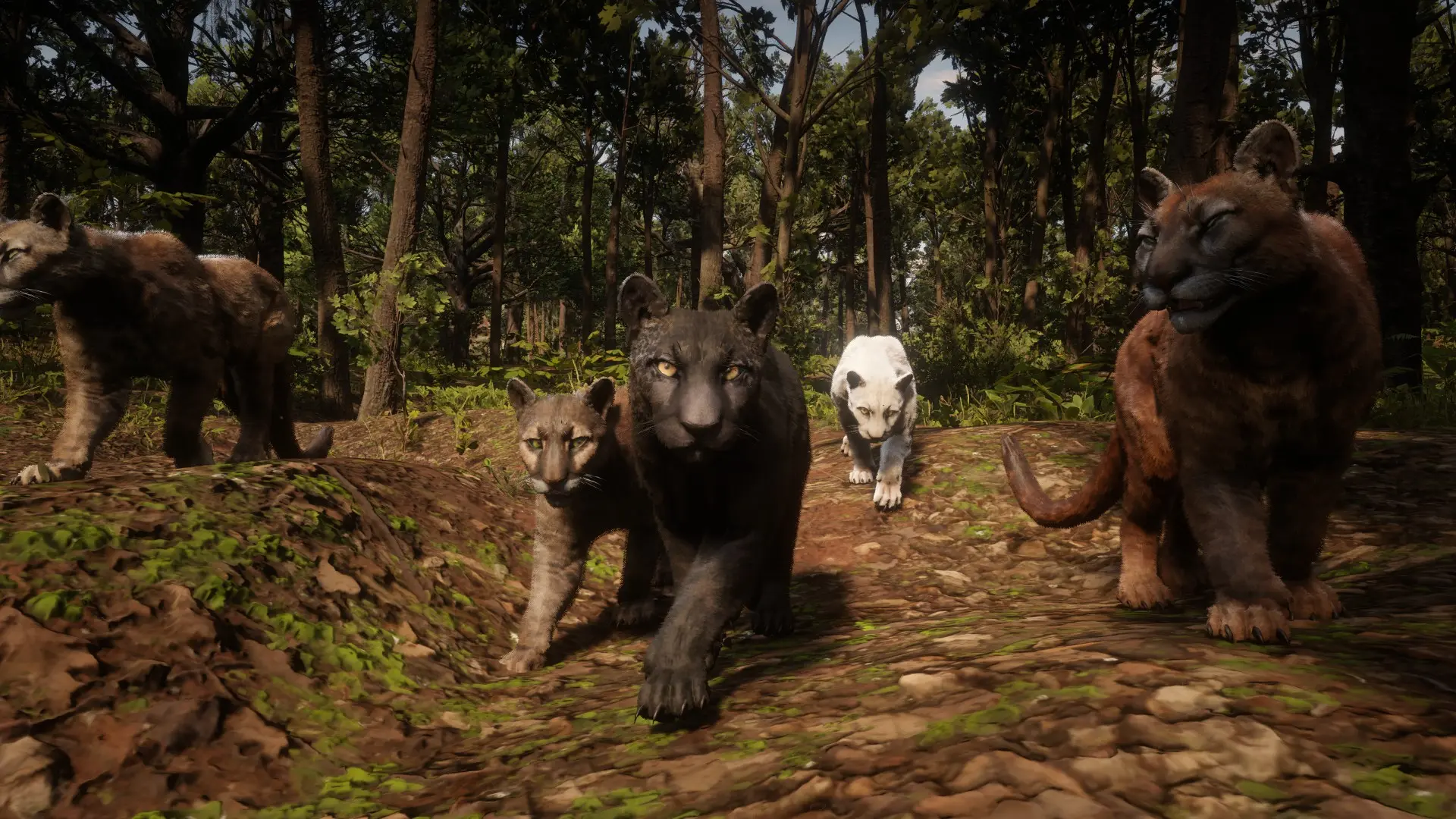 Online Panthers Unlocked for SP at Red Dead Redemption 2 Nexus - Mods ...