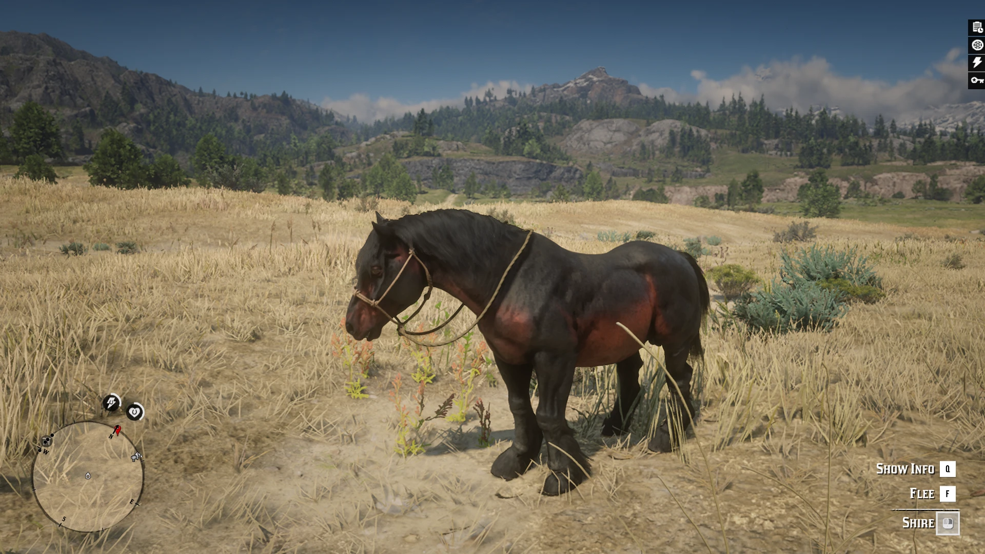 Online Horses and coats 2.0 at Dead 2 Nexus - Mods and