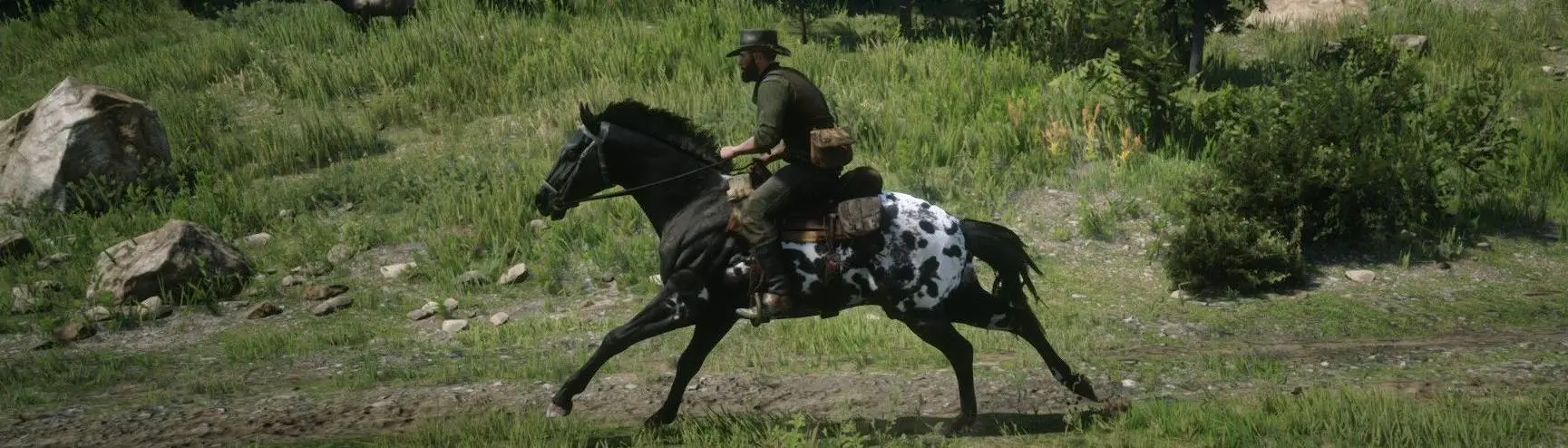 Appaloosa, Red Dead Wiki