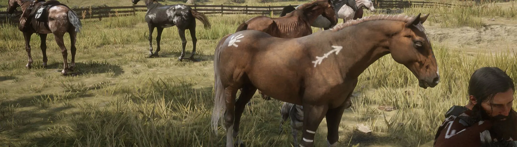 Hanging Dog Ranch at Red Dead Redemption 2 Nexus - Mods and community