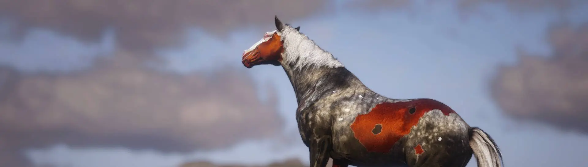 Appaloosa, Red Dead Wiki