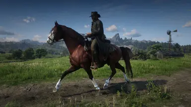 Missouri fox trotter at Red Dead Redemption 2 Nexus - Mods and community