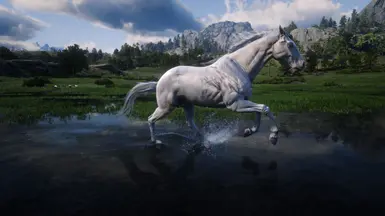 Albino
