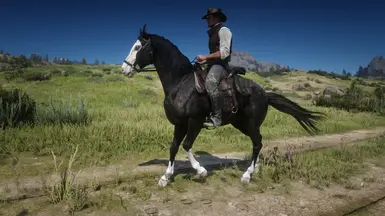 Missouri fox trotter at Red Dead Redemption 2 Nexus - Mods and community