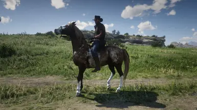 Missouri fox trotter at Red Dead Redemption 2 Nexus - Mods and community