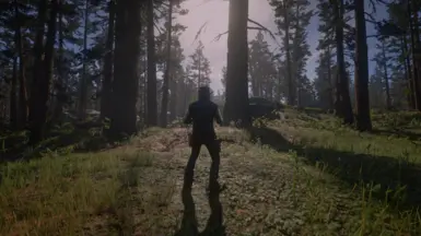 Reshade Cinematic at Red Dead Redemption 2 Nexus - Mods and community