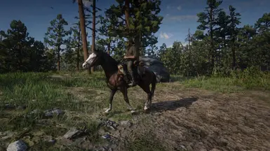 Buckskin dapple