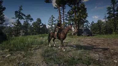 Buckskin dapple
