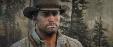 Story Mode missions 100 Percent Completed Legit With Unobtainable Outfits