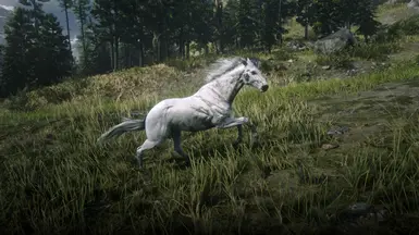 Appaloosa, Red Dead Wiki