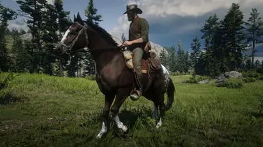 Appaloosa at Red Dead Redemption 2 Nexus - Mods and community