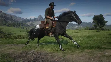 Appaloosa at Red Dead Redemption 2 Nexus - Mods and community