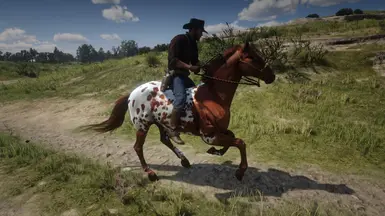 Appaloosa at Red Dead Redemption 2 Nexus - Mods and community