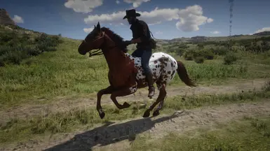 Appaloosa at Red Dead Redemption 2 Nexus - Mods and community