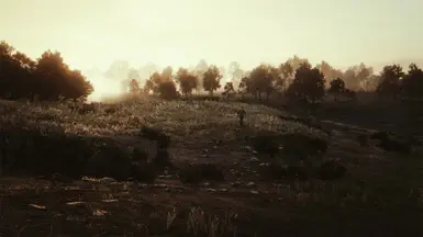 reshade shift f2 not working