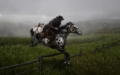 RDR2 chap 2 EZ START_Aww_Yerr_Arrright_Guurrl