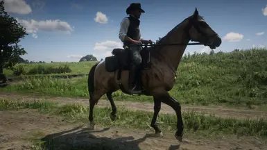 Buckskin