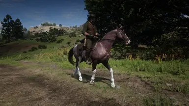 Mahogany bay roan 1.1