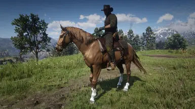 Criollo at Red Dead Redemption 2 Nexus - Mods and community